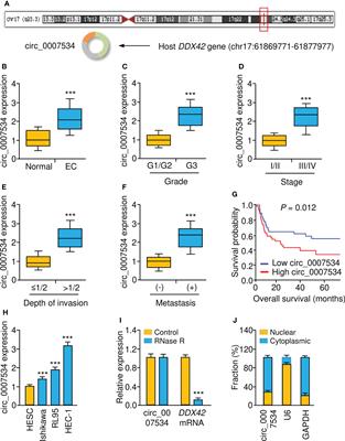 Oncogenic circular RNA circ_0007534 contributes to paclitaxel resistance in endometrial cancer by sponging miR-625 and promoting ZEB2 expression